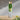 Pet Water Bottle