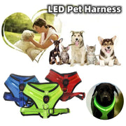 LED Light Dog Harness