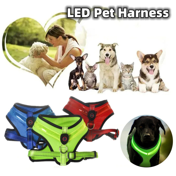 LED Light Dog Harness