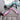 Adjustable Pet Seat Belt