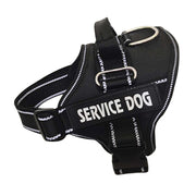 Personalized Dog Harness
