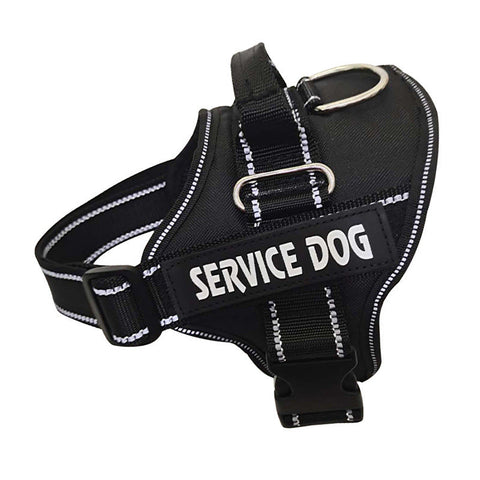 Personalized Dog Harness