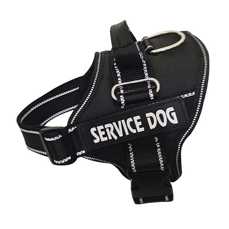 Personalized Dog Harness