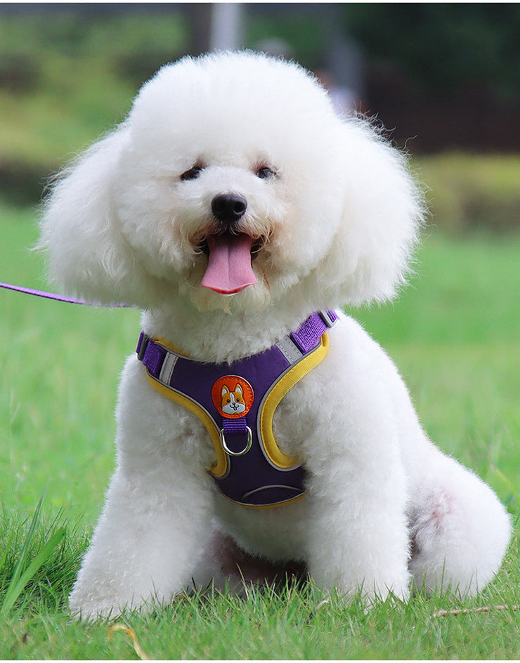 Reflective Soft Mesh