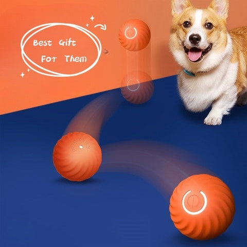 Dog Chew Ball Toy