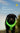 LED Light Dog Harness