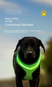 LED Light Dog Harness