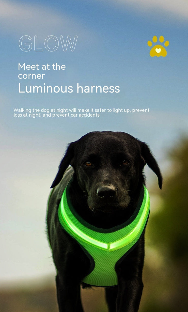 LED Light Dog Harness