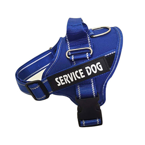 Personalized Dog Harness