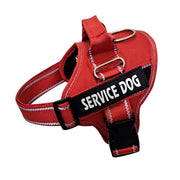 Personalized Dog Harness