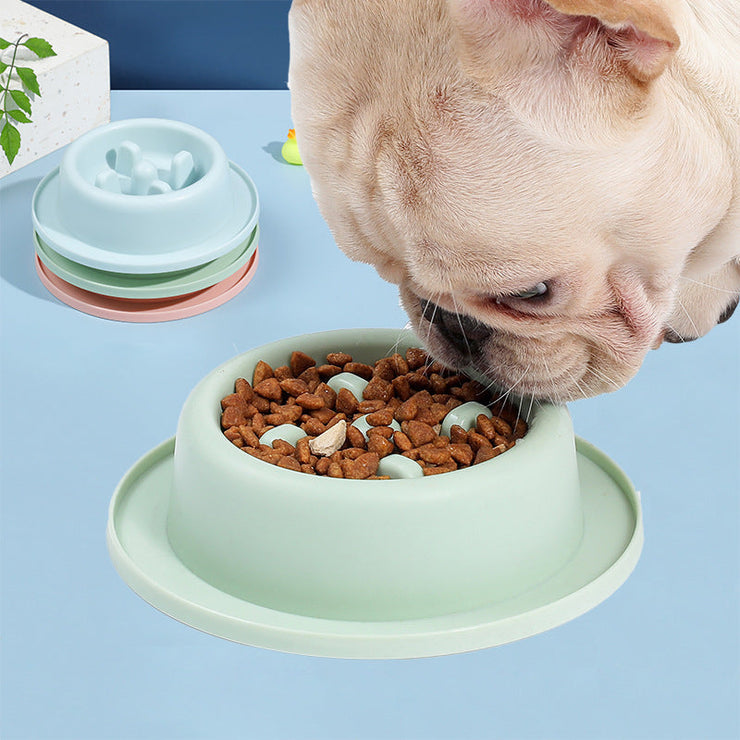 Pet Slow Food Bowl