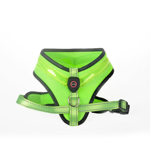 LED Light Dog Harness